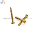 Anti-Theft Screw/Adjusting Screw/Self-Tapping Screw/Drywall Screw with High Quality